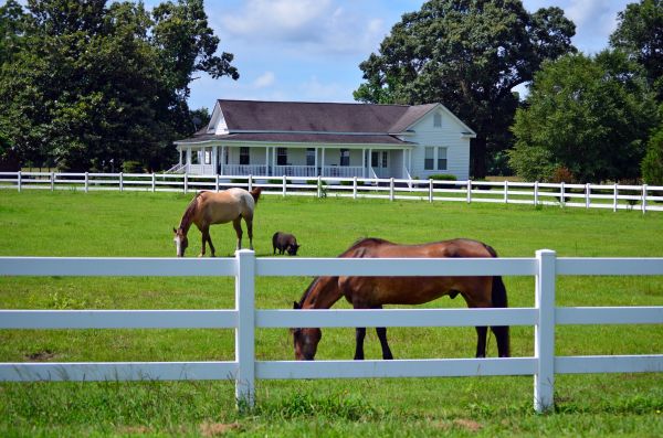 Prescott Fence Service